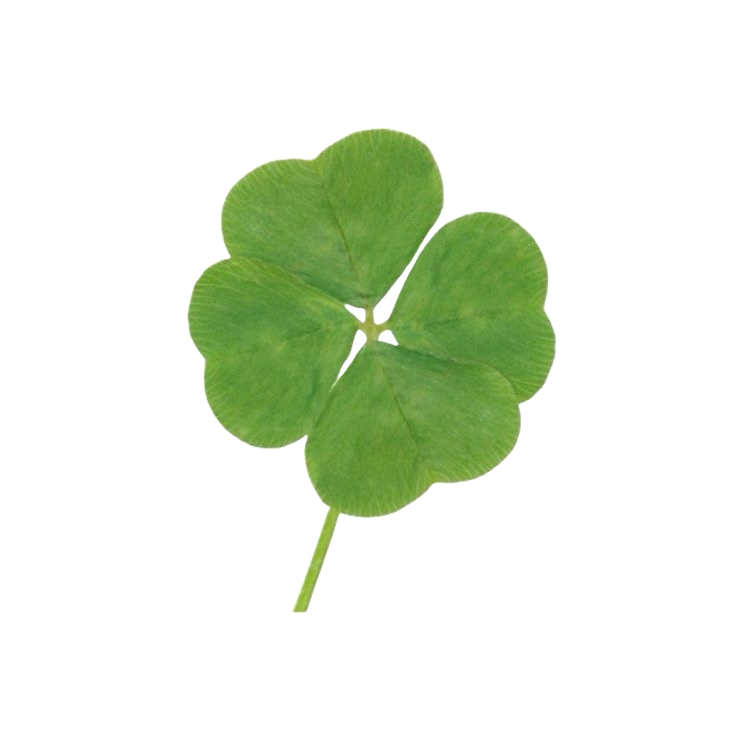 fourleafclover